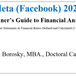 Meta 2023 Beginner's Guide to Financial Analysis