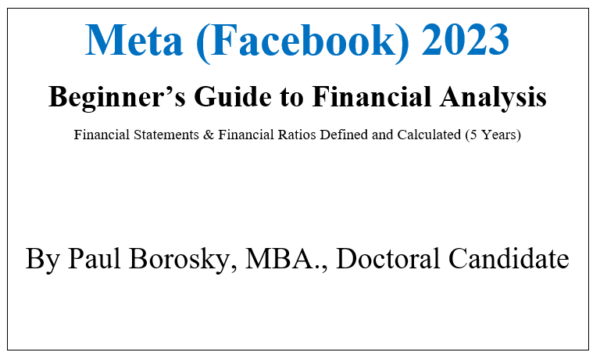Meta 2023 Beginner's Guide to Financial Analysis