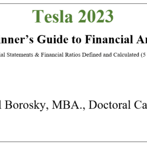 Tesla 2023 Beginner's Guide to Financial Analysis